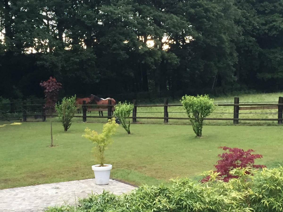 Domaine Des Bruyeres Bed & Breakfast Sains-en-Amiénois Dış mekan fotoğraf